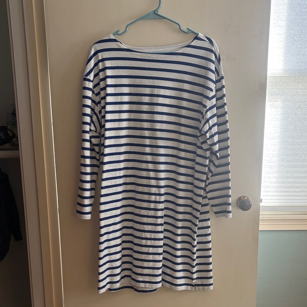 Everlane Blue and White Striped Dress